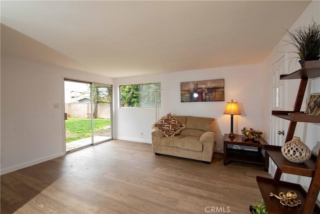 living room with light wood-type flooring