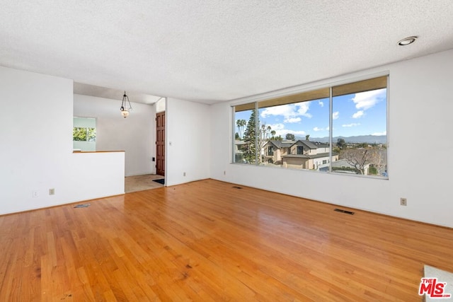 empty room featuring hardwood / wood-style floors and a textured ceiling