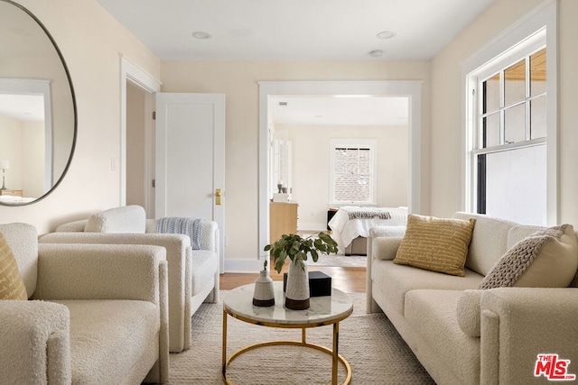 living room featuring hardwood / wood-style floors