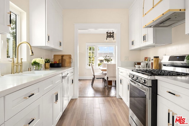 kitchen featuring white cabinets, stainless steel appliances, light hardwood / wood-style floors, and sink