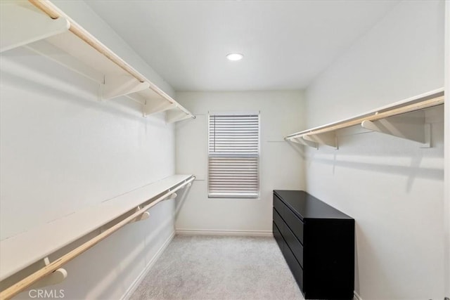 walk in closet featuring light carpet