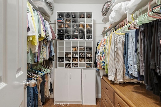 walk in closet featuring wood finished floors