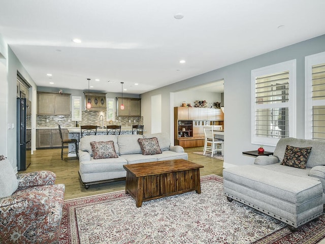 living room featuring hardwood / wood-style floors