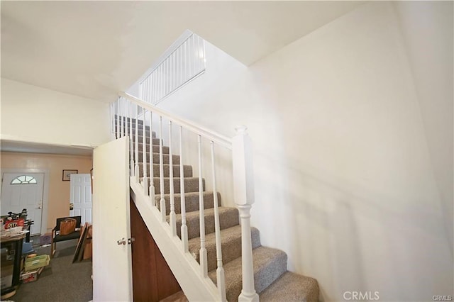 staircase with carpet flooring