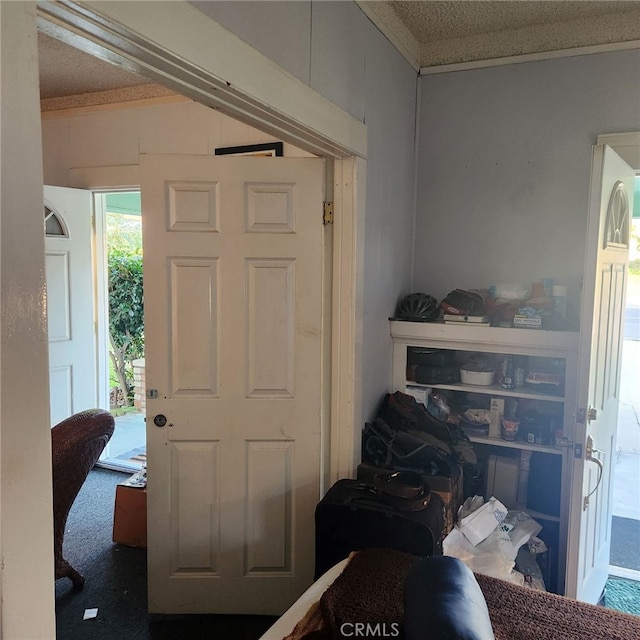 entryway featuring carpet flooring