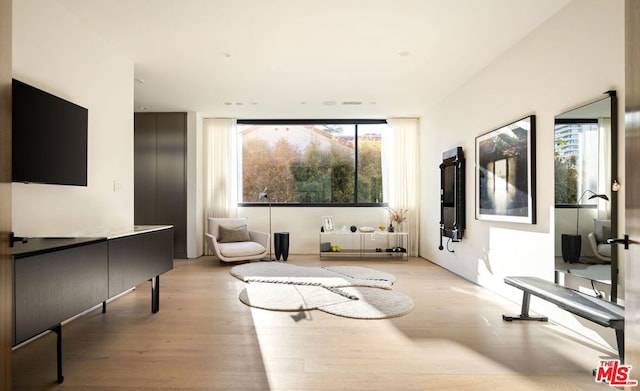 living room with light hardwood / wood-style floors, expansive windows, and a wealth of natural light