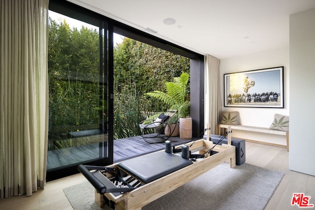 doorway featuring light wood-type flooring and floor to ceiling windows