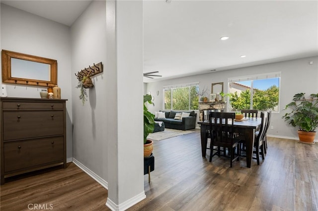 dining room featuring dark wood-type flooring