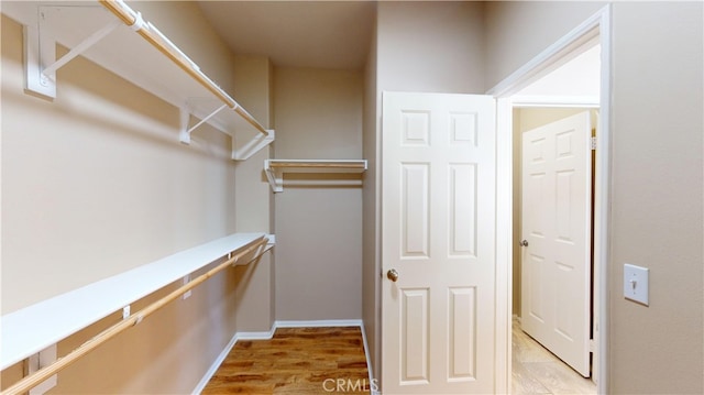 spacious closet featuring light hardwood / wood-style flooring