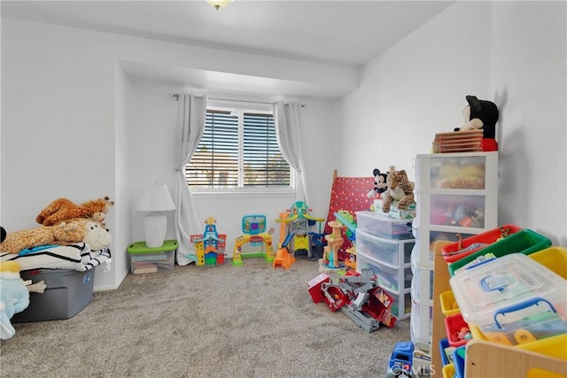 recreation room featuring carpet floors