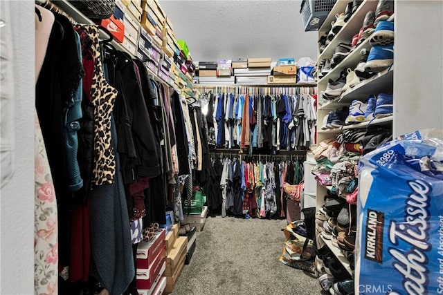 spacious closet with carpet