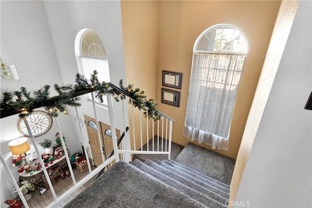 entrance foyer with wood-type flooring and a high ceiling