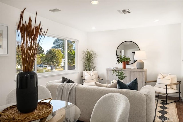 living room featuring wood-type flooring