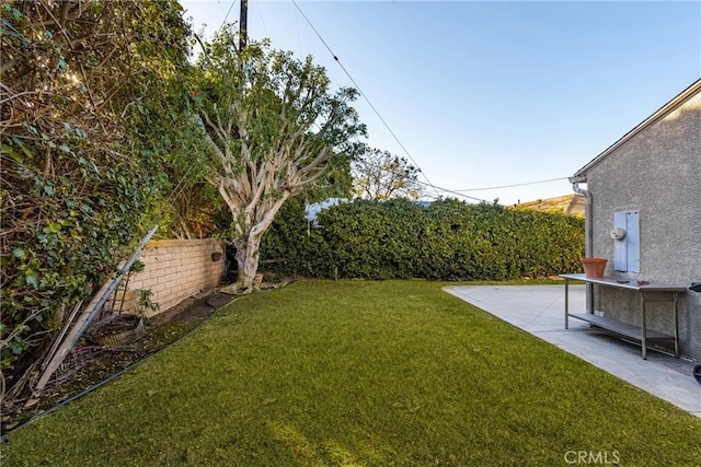 view of yard featuring a patio area