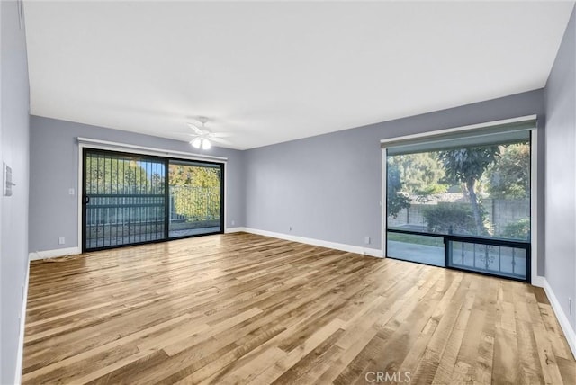 empty room featuring ceiling fan and light wood-type flooring