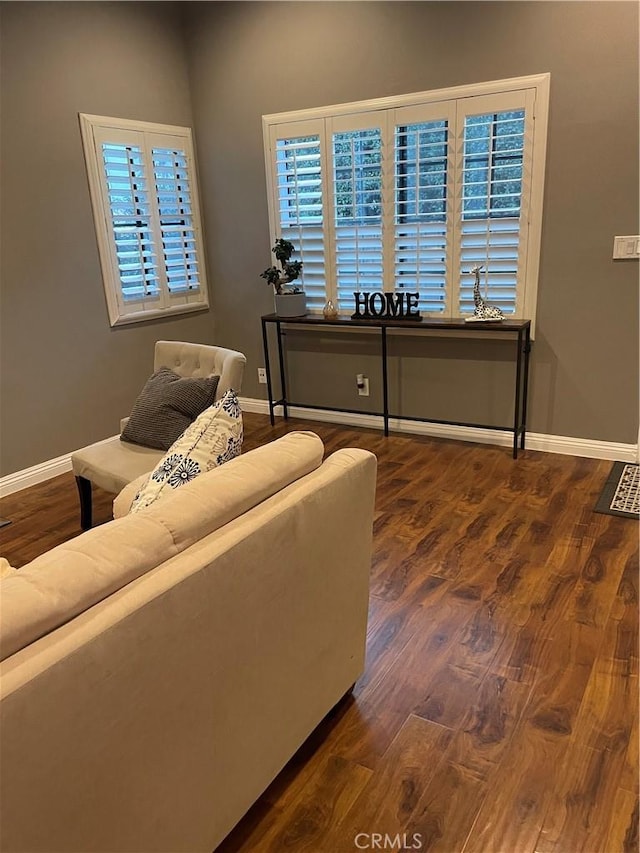 living room featuring dark wood-type flooring