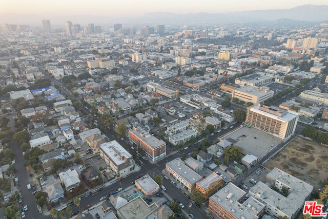 bird's eye view