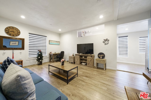 living room featuring light wood-type flooring