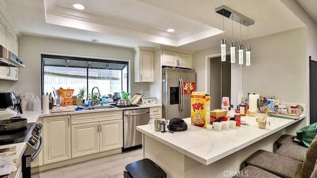 kitchen with sink, light hardwood / wood-style flooring, appliances with stainless steel finishes, a tray ceiling, and kitchen peninsula