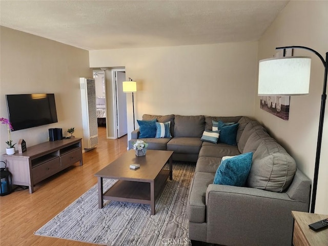 living room featuring hardwood / wood-style flooring