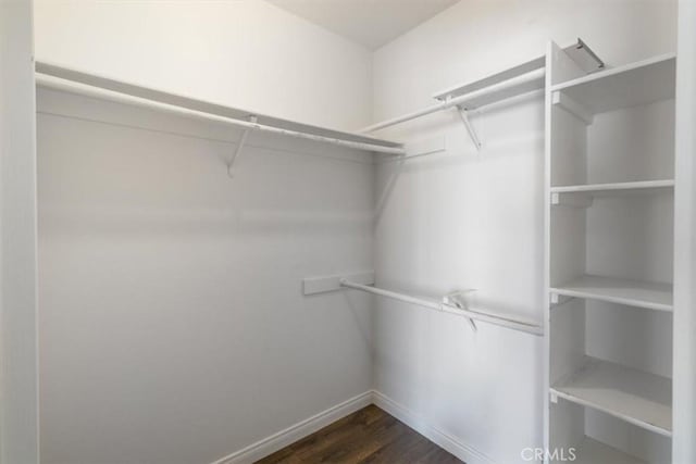 spacious closet with dark wood-type flooring