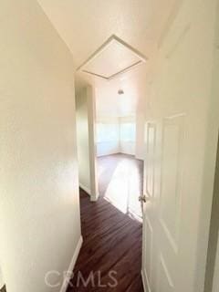 hall with dark hardwood / wood-style flooring and lofted ceiling