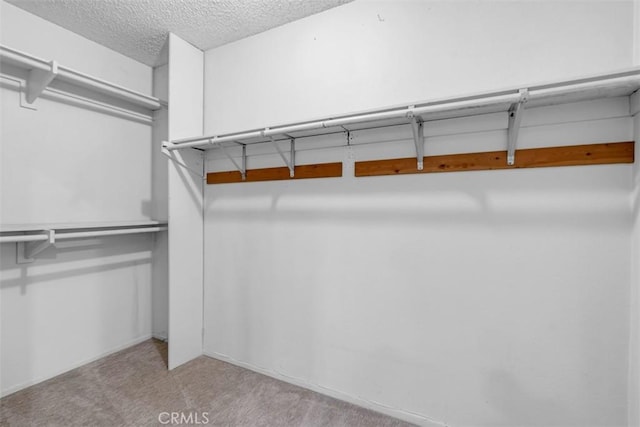 walk in closet with light colored carpet