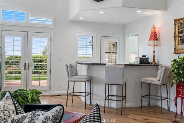 bar featuring plenty of natural light, light hardwood / wood-style floors, and french doors