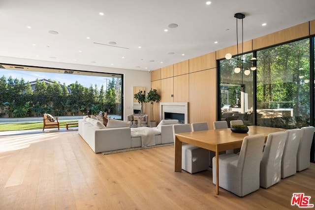 dining area with light hardwood / wood-style floors