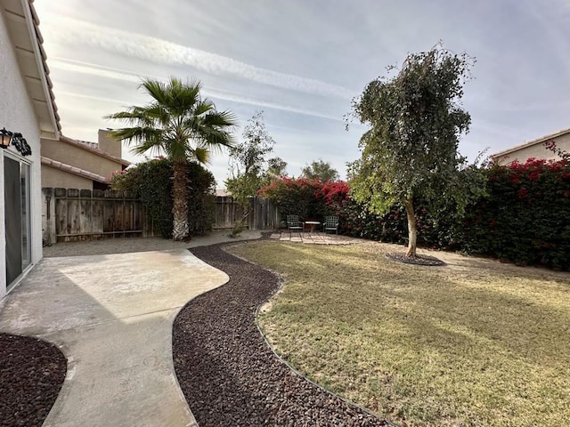 view of yard featuring a patio area