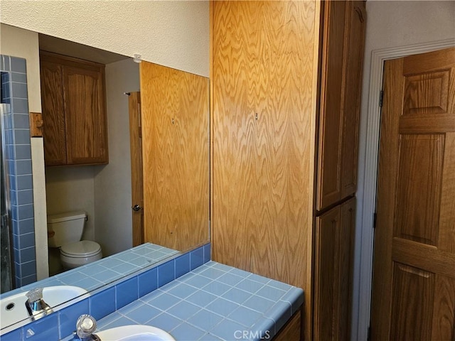 bathroom with toilet and sink