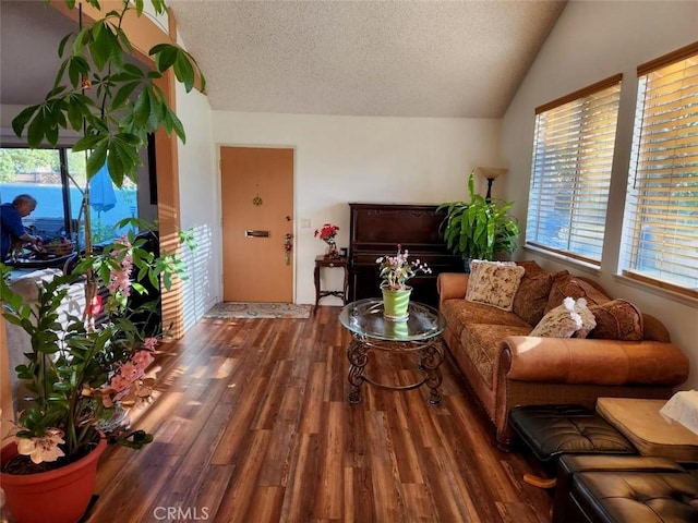 living room featuring a textured ceiling, lofted ceiling, plenty of natural light, and dark wood-type flooring