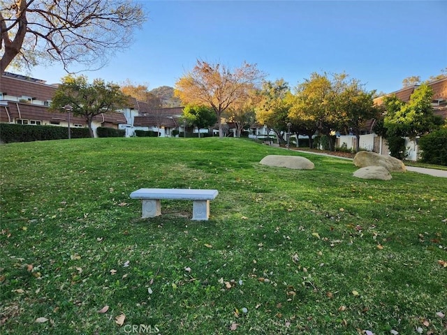 view of home's community with a lawn