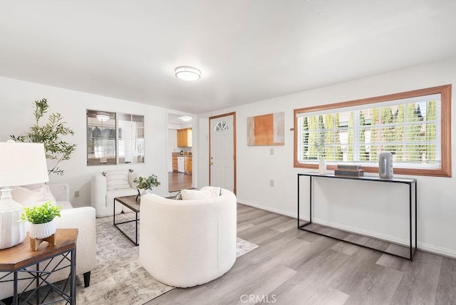 living room with light hardwood / wood-style floors