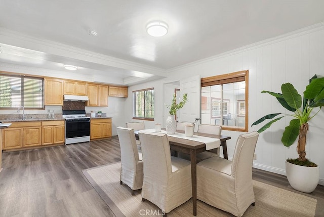 dining area featuring crown molding, sink, and wood-type flooring