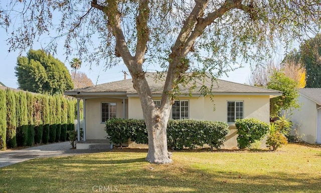 ranch-style house featuring a front yard