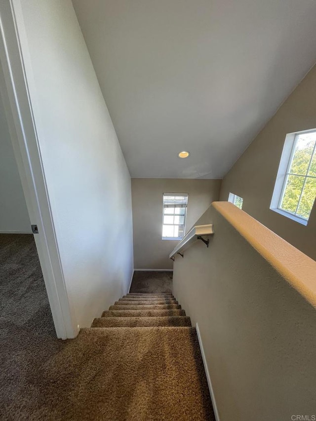 stairway featuring lofted ceiling and carpet floors