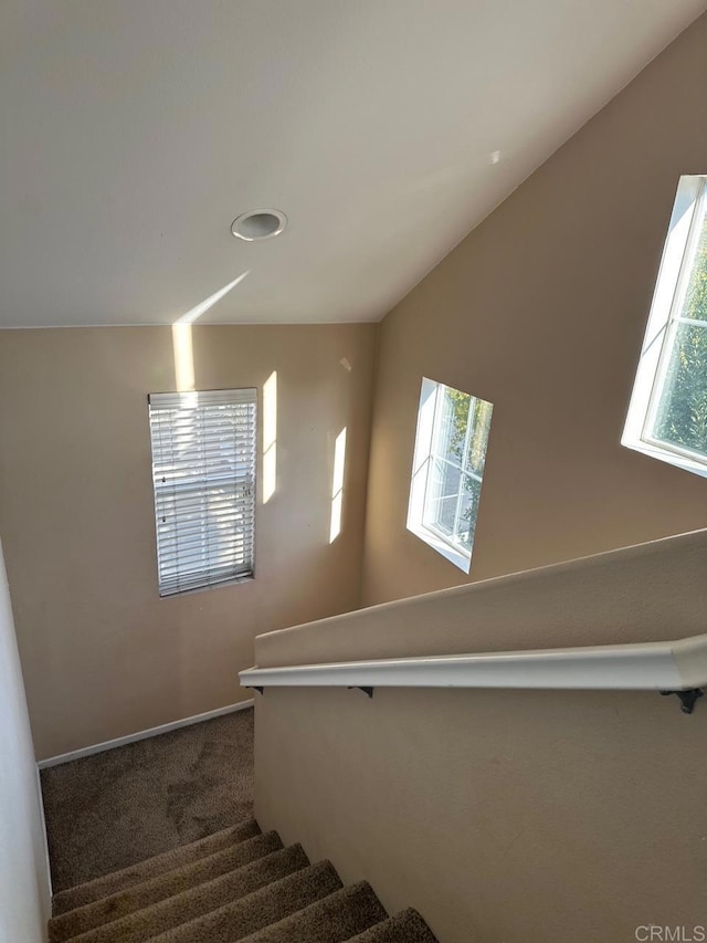 stairway with lofted ceiling and carpet floors