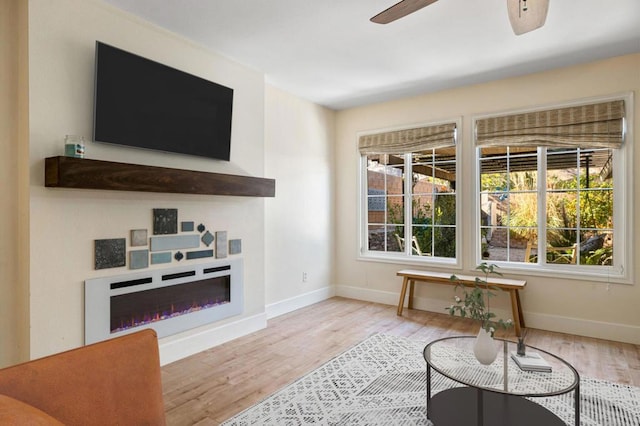 living room featuring ceiling fan and light hardwood / wood-style flooring