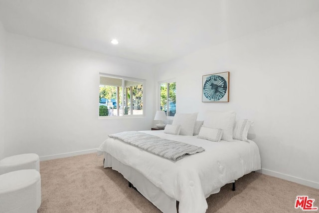 view of carpeted bedroom