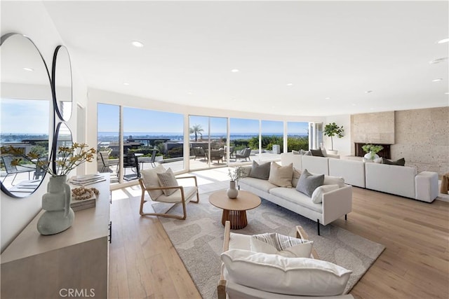 living room featuring light hardwood / wood-style flooring