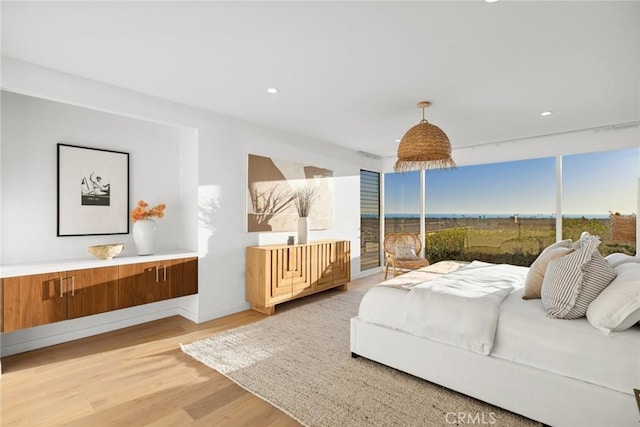 bedroom with light hardwood / wood-style floors and access to exterior