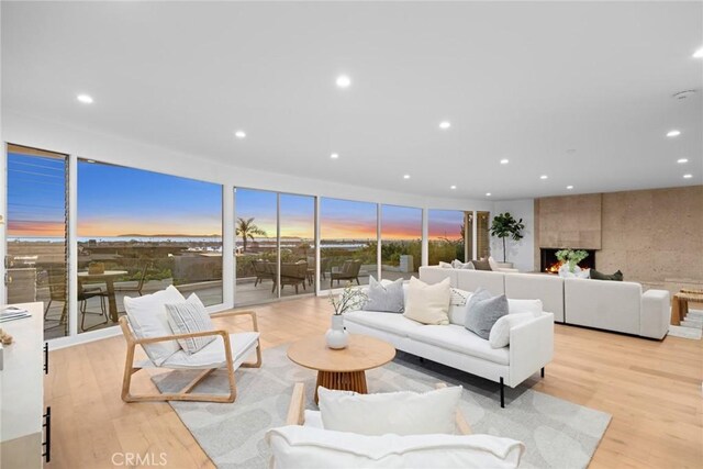 living room with a large fireplace, light hardwood / wood-style flooring, and a healthy amount of sunlight