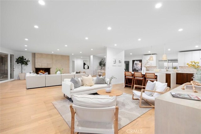 living room with a large fireplace and light hardwood / wood-style floors