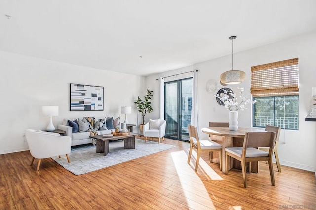 living room featuring light hardwood / wood-style floors