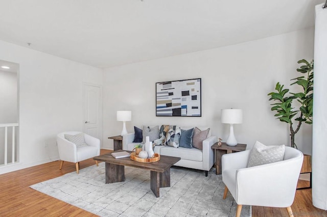 living room featuring light hardwood / wood-style flooring