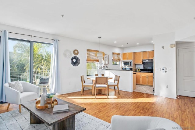 living room with light hardwood / wood-style floors