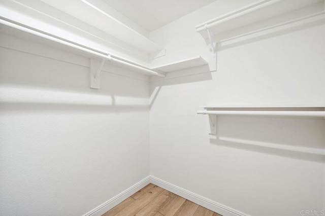 spacious closet with hardwood / wood-style floors