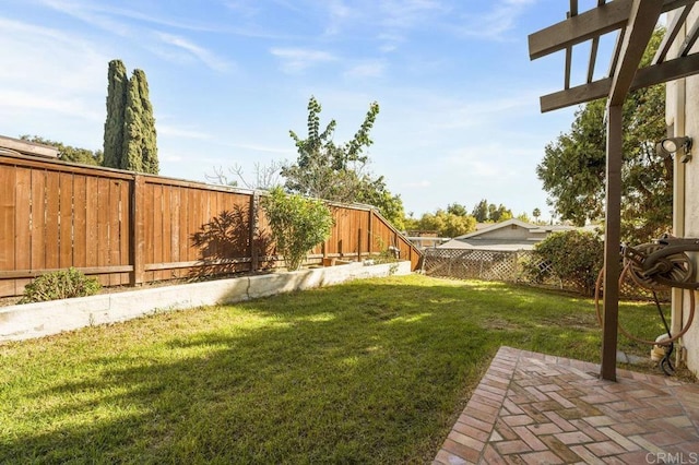 view of yard featuring a patio