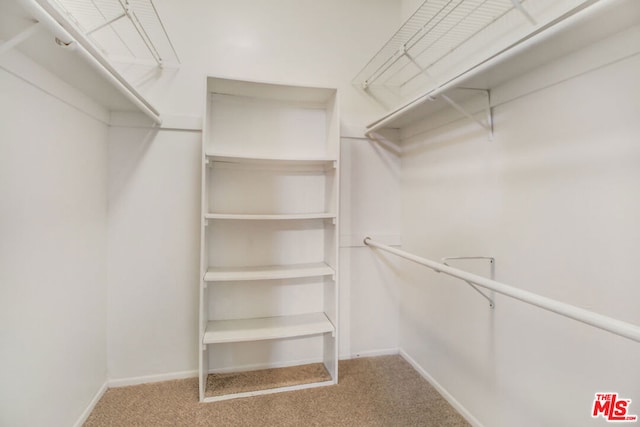 walk in closet featuring light carpet